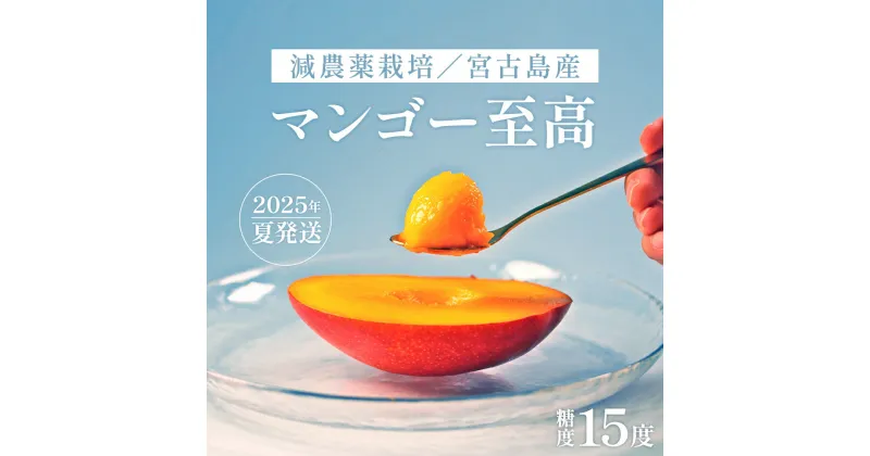 【ふるさと納税】《先行予約 2025年発送》沖縄・宮古島 減農薬栽培マンゴー 2kg【最良品】(AR209)｜贈答用・糖度15度以上！｜琉球マルシェ | 贈答 至高 数量限定 マンゴー 食べ比べ フルーツ 名産品 ご当地 人気 ギフト プレゼント おすすめ お取り寄せ 沖縄 宮古島 南国