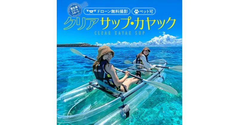 【ふるさと納税】沖縄・宮古島　クリアカヤック・クリアサップ（SUP）ツアー体験【1名様】（AR232）