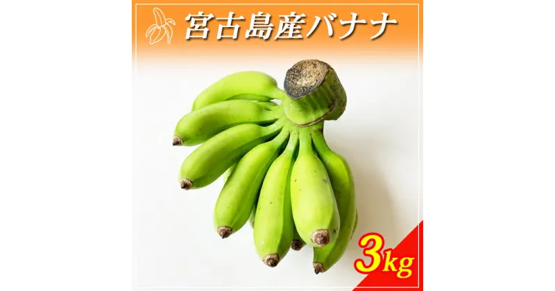 【ふるさと納税】宮古島産バナナ1kg（定期便3回）(JH009）