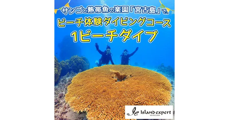 【ふるさと納税】サンゴと熱帯魚の楽園「宮古島」で、ビーチ体験ダイビングコース（1ビーチダイブ）（JK003）