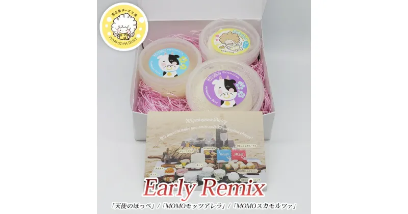 【ふるさと納税】Early Remix | リコッタチーズ モッツァレラチーズ モッツァレラチーズ（CJ08）